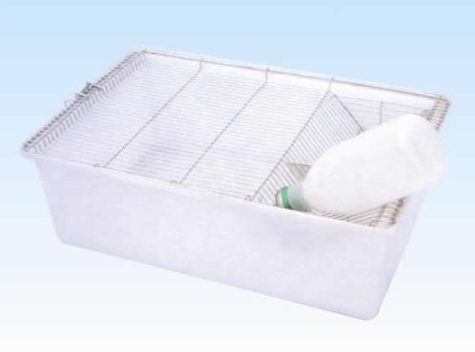 普通大小鼠饲养盒